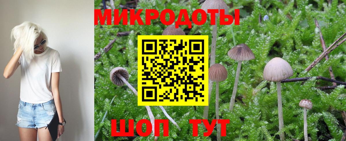 Псилоцибиновые грибы Magic Shrooms Ижевск
