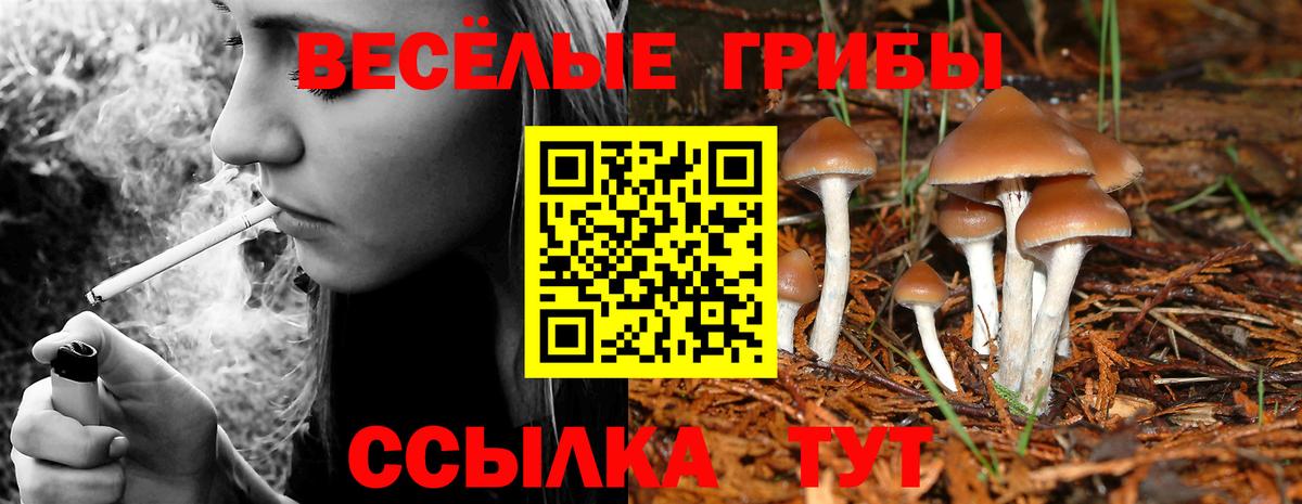 Галлюциногенные грибы ЛСД  дарнет шоп  Галлюциногенные грибы Psilocybine cubensis  Ижевск  Вход с VPN 